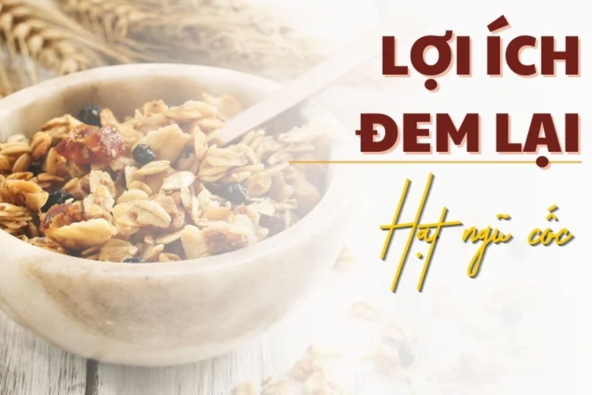 Điểm danh các loại hạt ngũ cốc lợi sữa cho mẹ sau sinh bổ dưỡng