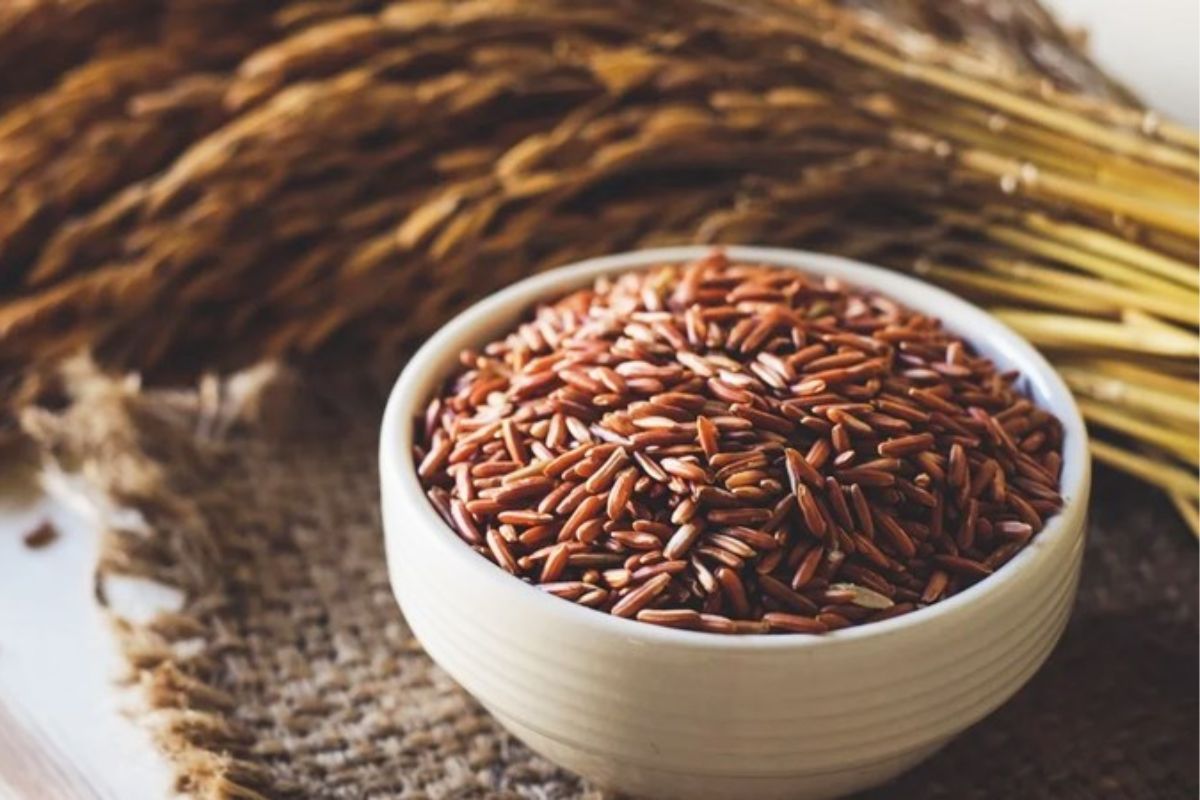 Điểm danh các loại hạt ngũ cốc lợi sữa cho mẹ sau sinh bổ dưỡng