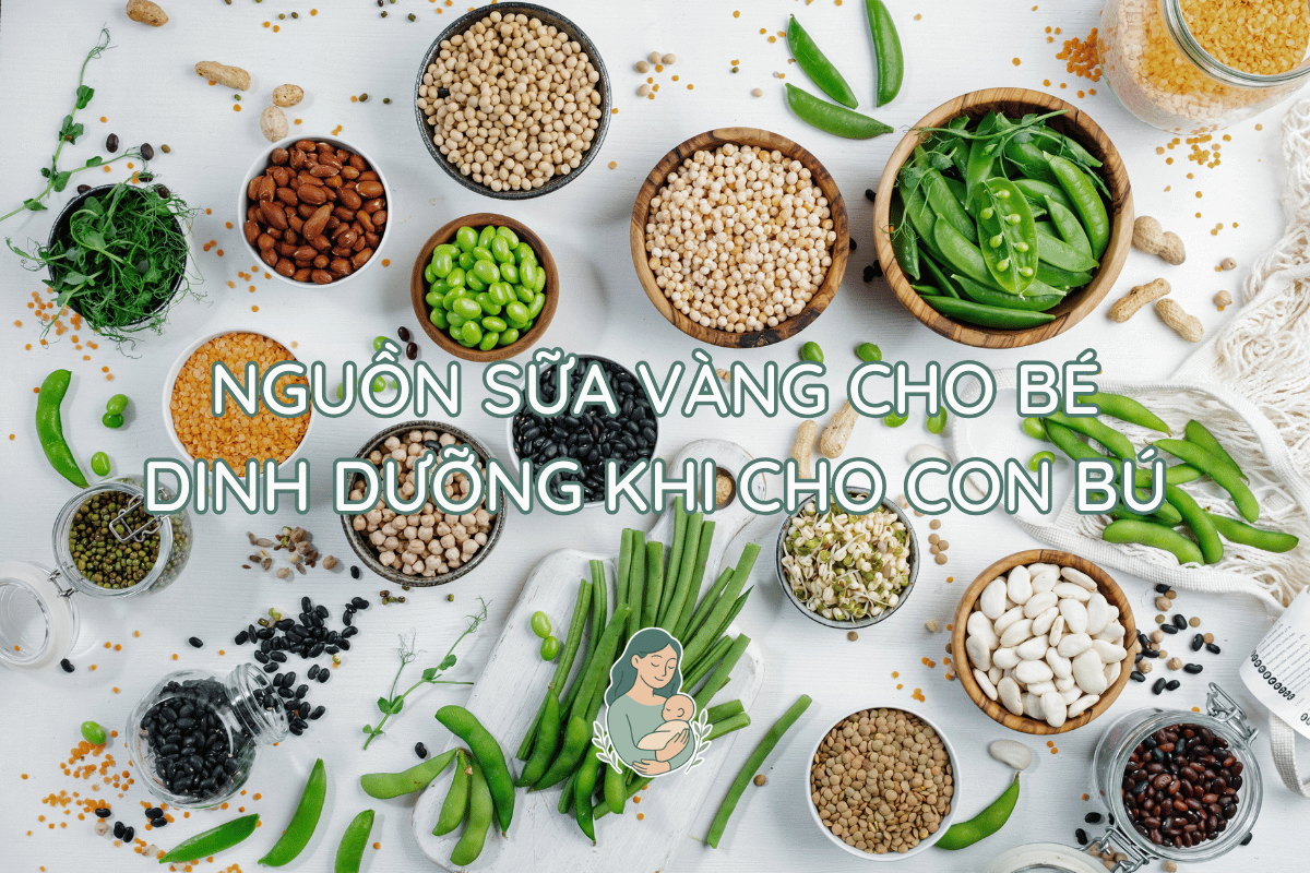 dinh-duong-khi-cho-con-bu