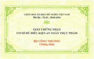 dich-vu-giay-phep-atvstp-me-lanh